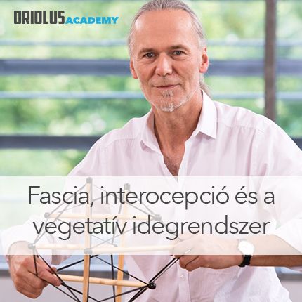 A fascia, az interocepció és a vegetatív IR